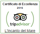 TripAdvisor