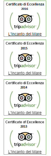 TripAdvisor